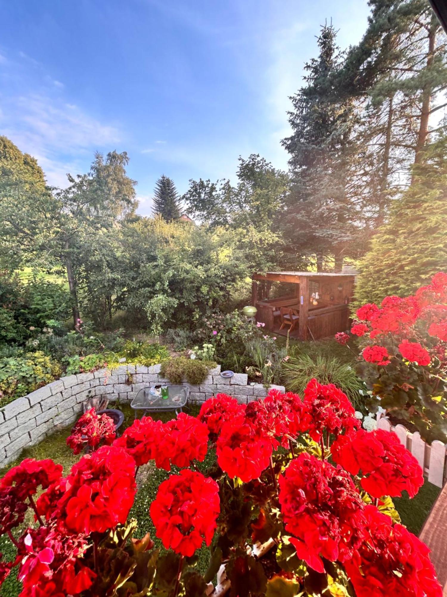 Ferienwohnung Mit Gartennutzung, Garage Und Wallbox Ebersbach-Neugersdorf Dış mekan fotoğraf